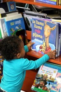 brown skinned child in bright blue shirt reaches for a kid's book titled: "la llama llama rojo pijama"