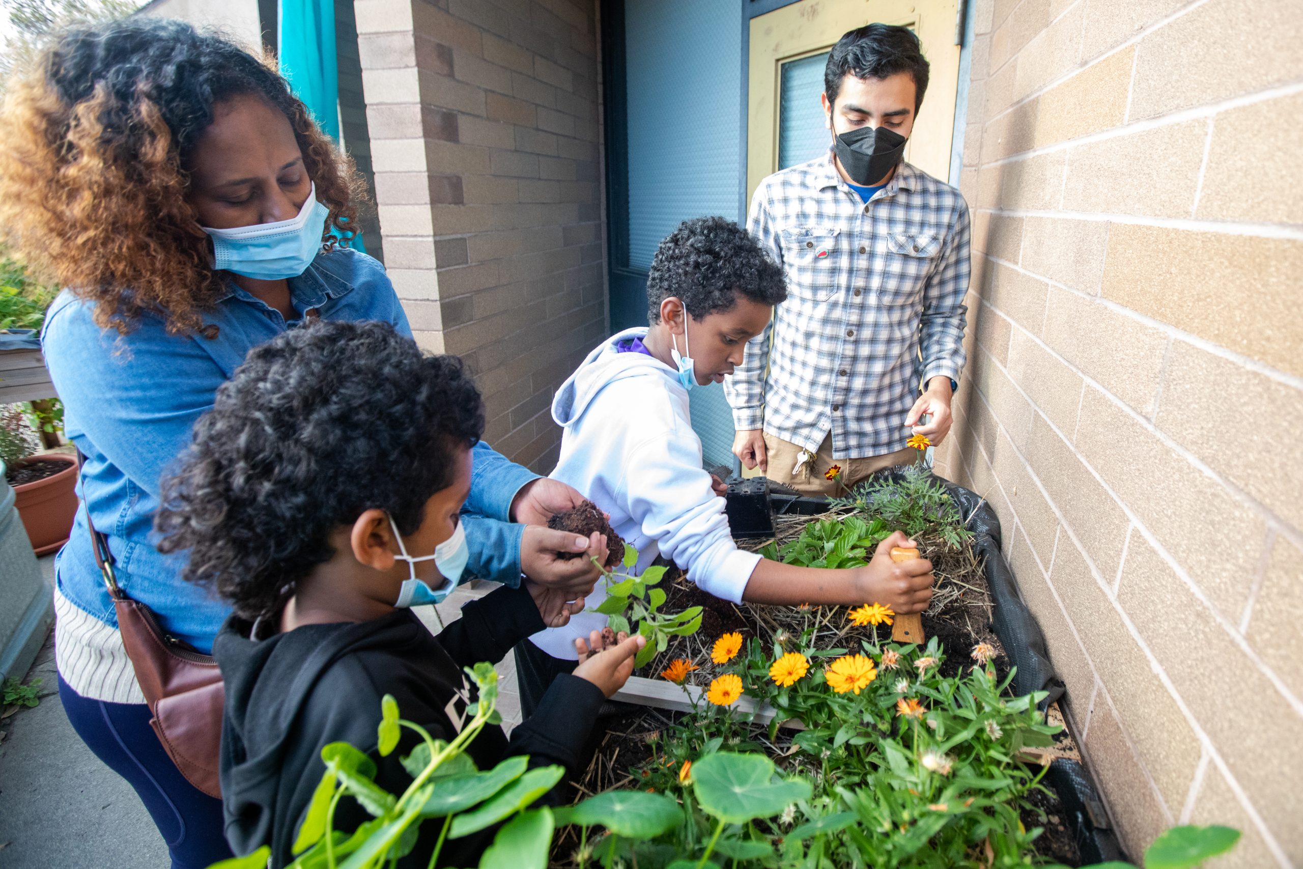 Garden Day at West Oakland Library Branch